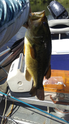 Caught on a Silent River Smallmouth tour